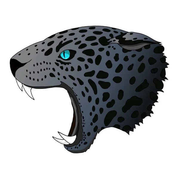 Vektor dühös panther, cougar portré. Jaguar ragadozó fej színes elszigetelt — Stock Vector