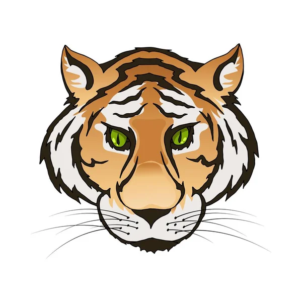 Vector Smaragd groene ogen tijger portret. Predator hoofd kleurrijke geïsoleerd — Stockvector