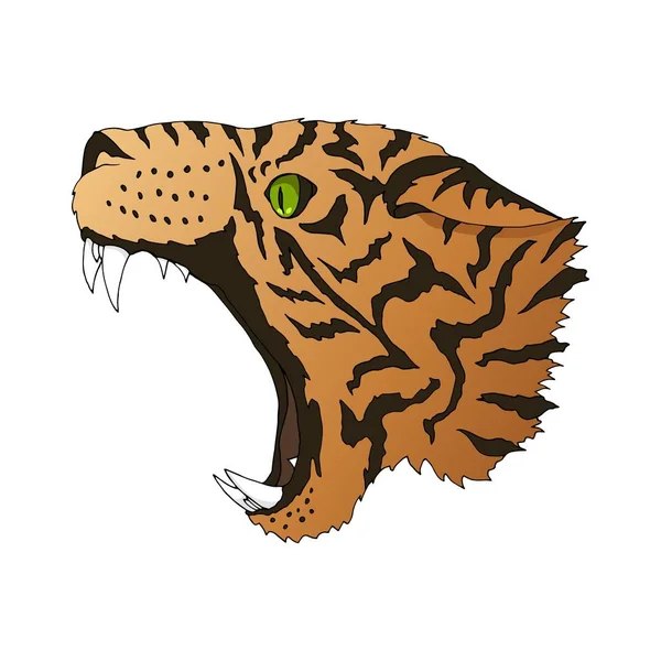 Vektor dühös leopard portré. Tigris ragadozó fej színes elszigetelt — Stock Vector