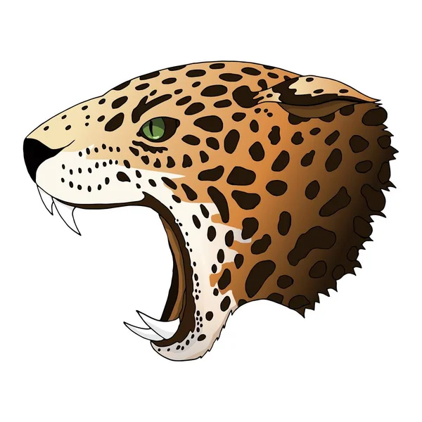 Vektor dühös leopard portré. Jaguar ragadozó fej színes elszigetelt — Stock Vector