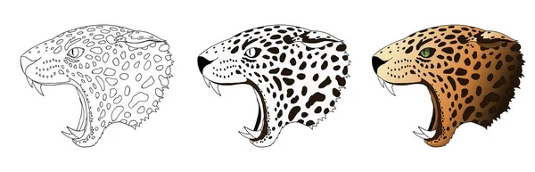 Retrato de leopardo zangado vetorial. Jaguar cabeça predador colorido e doodle isolado —  Vetores de Stock