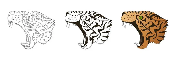 Retrato de leopardo zangado vetorial. Tiger cabeça predador colorido e doodle isolado —  Vetores de Stock