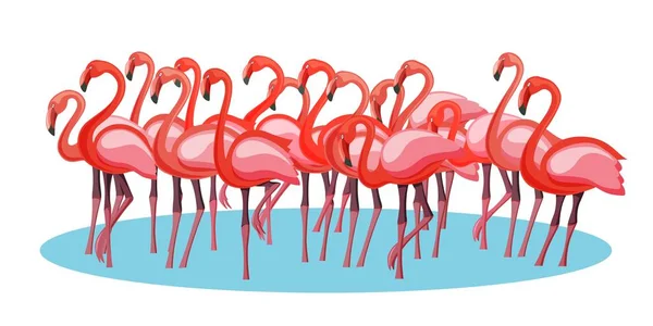 Exotische rosa lila Flamingos Vögel Menge Gruppe sammeln Extravaganz — Stockvektor