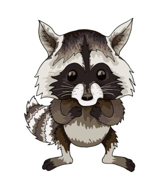 Şirin racoon vektör simgesi beyaz arka plan üzerinde. Woodland hayvan clipart