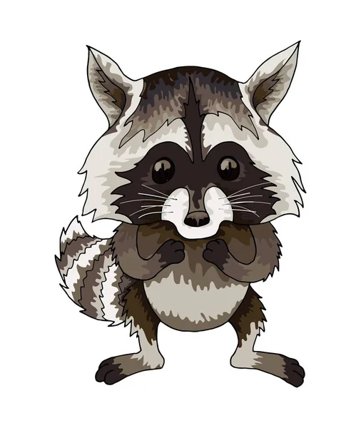 Lindo icono de vector de mapache sobre fondo blanco. Clipart de animales del bosque — Vector de stock