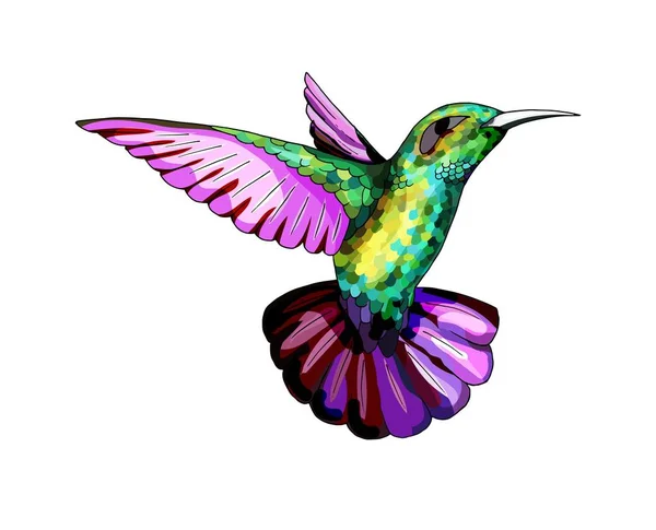 Un piccolo colibrì. Esotici colibri tropicali icona animale. Piume di smeraldo dorato — Vettoriale Stock