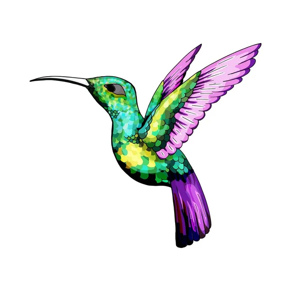 Petit colibri. Colibri exotique tropical animal icône. Plumes d'émeraude dorées — Image vectorielle