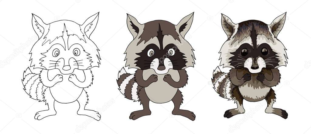 Raccoon funny animal cartoon character isolated coloration book
