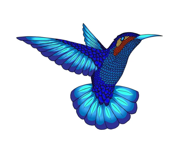 小蜂鸟。异国情调的热带大肠杆菌动物图标。蓝宝石蓝色羽毛 — 图库矢量图片