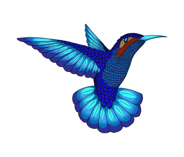 Kleiner Kolibri. exotische tropische Kolibris Tier-Ikone. saphir-blaue Federn — Stockvektor