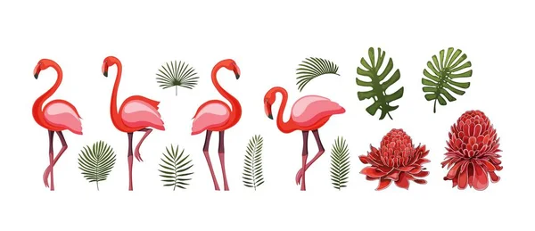Yaz tropikal grafik öğeleriyle flamingo kuşu. Hisse senedi vektörel çizimler izole. — Stok Vektör