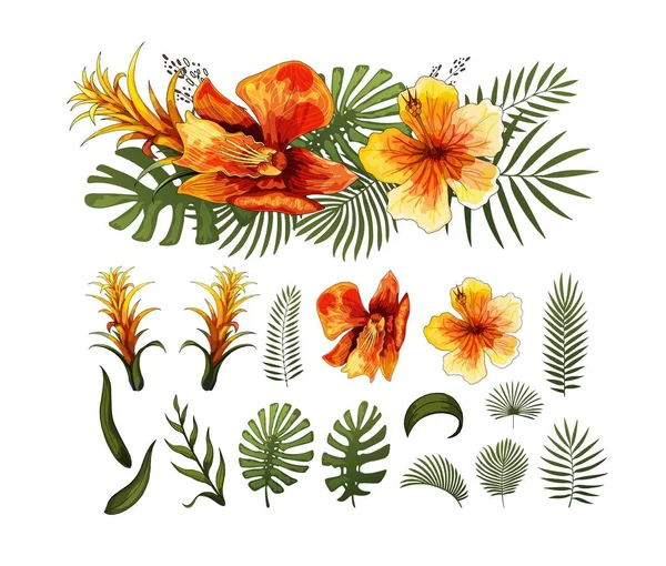 エキゾチックな花、熱帯の葉のデザイン要素。ベクターの花のイラスト — ストックベクタ