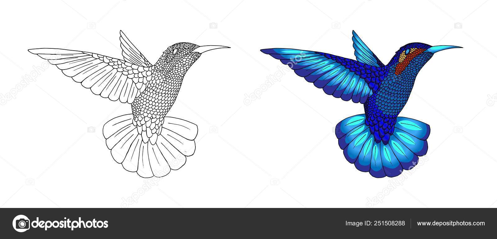 Petit Colibri Colibri Tropical Exotique Animaux Icône
