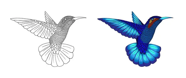 Pequeño colibrí. Icono exótico animal de colibrí tropical. Plumas de esmeralda dorada — Archivo Imágenes Vectoriales
