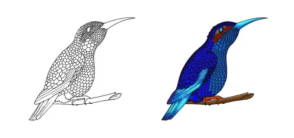 Pequeño colibrí. Icono exótico animal de colibrí tropical. Plumas de esmeralda dorada — Archivo Imágenes Vectoriales