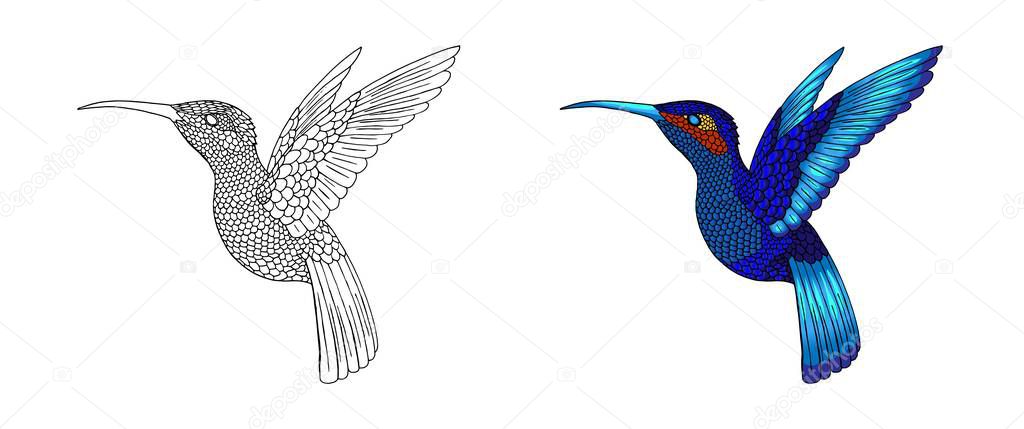 Small hummingbird. Exotic tropical colibri animal icon. Golden emerald feathers