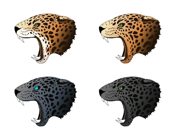 Vektor dühös panther, cougar portré. Jaguar ragadozó fej színes készlet — Stock Vector