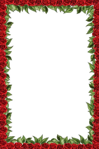 मोहक लाल गुलाब आणि हिरव्या पाने फुलांचा बुक्वेट वेक्टर डिझाइन फ्रेम — स्टॉक व्हेक्टर
