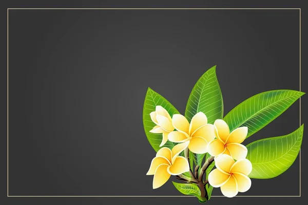 Yaprakları ile Altın frangipani veya plumeria çiçekleri. Vektör davetiye Kartpostalı — Stok Vektör