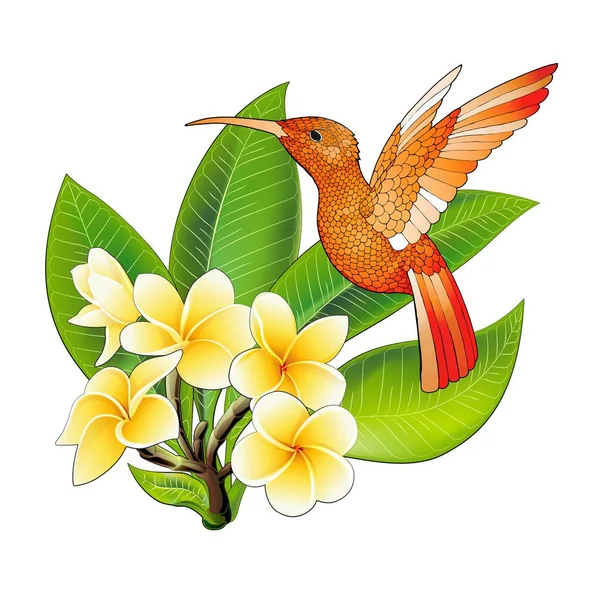 Piccolo colibrì con fiori di ibisco. Esotici colibri tropicali icona animale — Vettoriale Stock