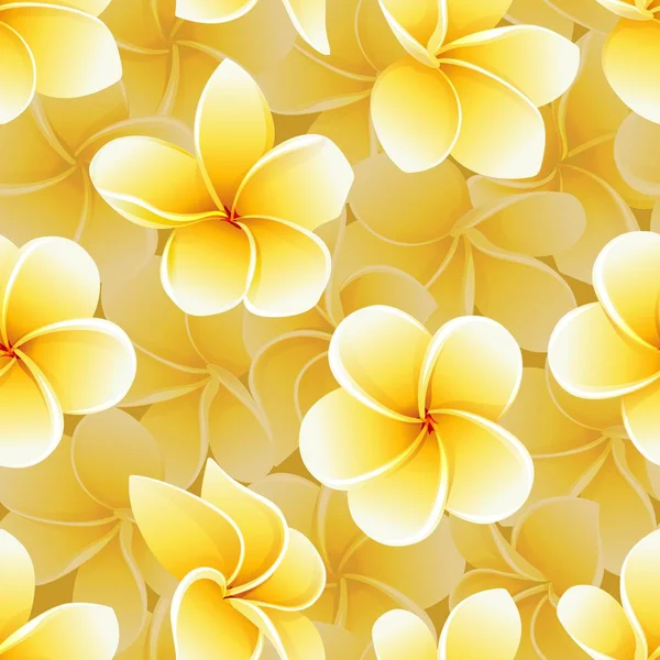 Patrón de verano sin costuras frangipani plumeria flores tropicales vector fondo — Vector de stock