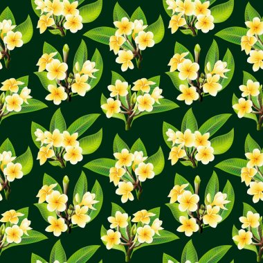 Güzel tropikal çiçekler dikişsiz çiçek yaz desen vektör arka plan