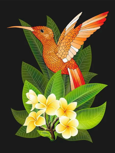Design de verão para publicidade com beija-flor, folhas tropicais e flores — Vetor de Stock