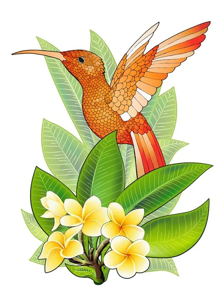Design estivo per pubblicità con colibrì, foglie tropicali e fiori — Vettoriale Stock