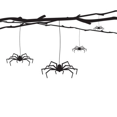 Siyah örümcek simge vektör