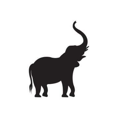 Fil vektör beyaz zemin üzerinde çizim