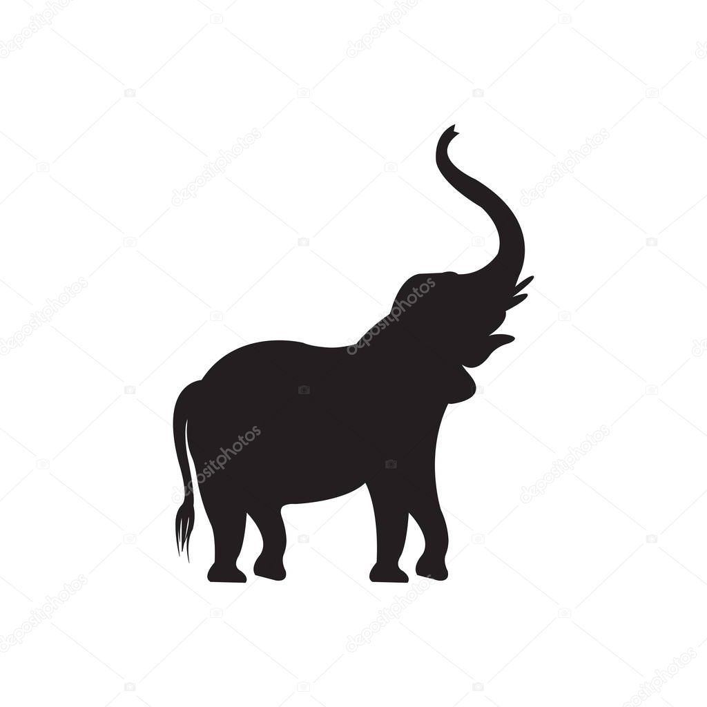 Elephant vector drawing on white backdrop