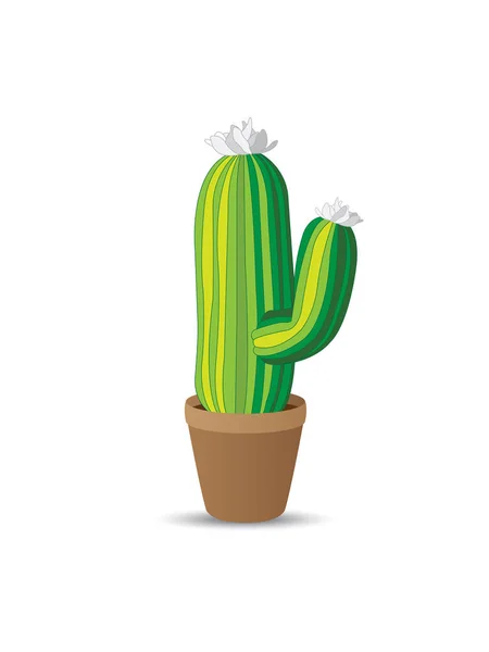 Iconos Cactus Dibujando Sobre Fondo Blanco — Vector de stock