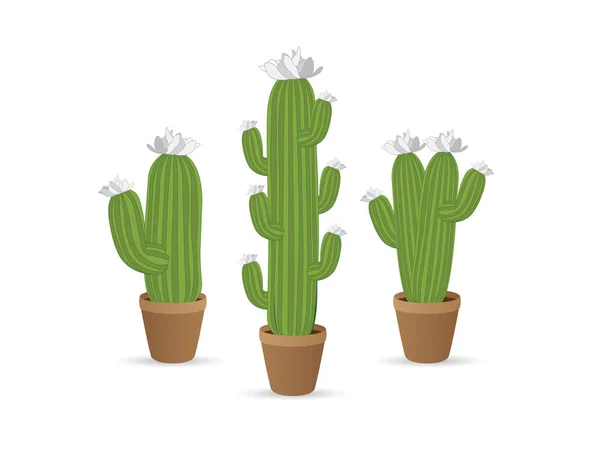 Iconos Cactus Dibujando Sobre Fondo Blanco — Vector de stock