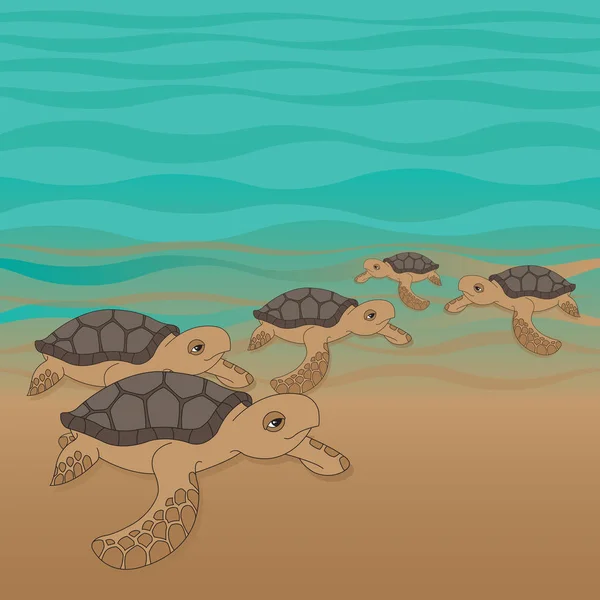 Illustration Vectorielle Des Tortues Marines — Image vectorielle