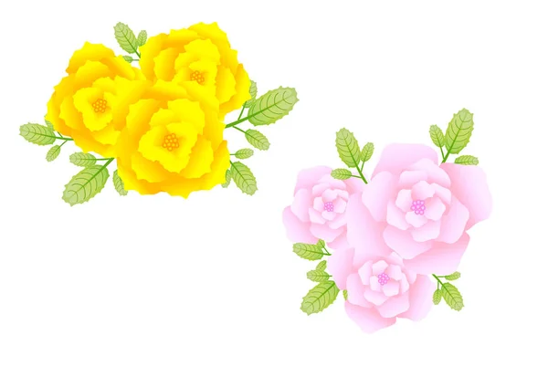 yellow and blue flower with white background