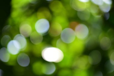 Resimler güzel ışık ve dairesel bulanık görüntü arka planı için uygun vardır. Bir ağaç gölge altında vurmak için. Yeşil ve güzel bir küre yansıtan beyaz bulanık görüntüler görüntülenir.