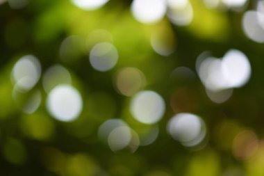 Resimler güzel ışık ve dairesel bulanık görüntü arka planı için uygun vardır. Bir ağaç gölge altında vurmak için. Yeşil ve güzel bir küre yansıtan beyaz bulanık görüntüler görüntülenir.