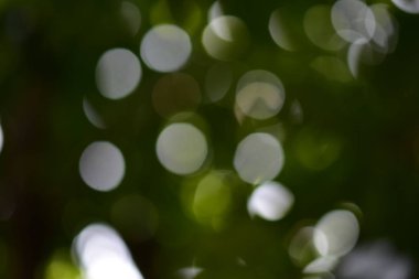 Resimler güzel ışık ve dairesel bulanık görüntü arka planı için uygun vardır. Bir ağaç gölge altında vurmak için. Yeşil ve güzel bir küre yansıtan beyaz bulanık görüntüler görüntülenir.