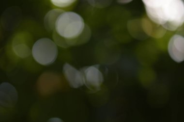 Resimler güzel ışık ve dairesel bulanık görüntü arka planı için uygun vardır. Bir ağaç gölge altında vurmak için. Yeşil ve güzel bir küre yansıtan beyaz bulanık görüntüler görüntülenir.