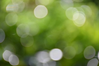 Arka plan ve bokeh. Resimler güzel ışık ve dairesel bulanık görüntü arka planı için uygun vardır. Bir ağaç gölge altında vurmak için. Yeşil ve güzel bir küre yansıtan beyaz bulanık görüntüler görüntülenir.