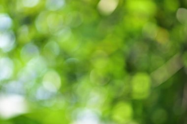 Arka plan ve bokeh. Resimler güzel ışık ve dairesel bulanık görüntü arka planı için uygun vardır. Bir ağaç gölge altında vurmak için. Yeşil ve güzel bir küre yansıtan beyaz bulanık görüntüler görüntülenir.