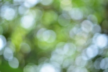 Arka plan ve bokeh. Resimler güzel ışık ve dairesel bulanık görüntü arka planı için uygun vardır. Bir ağaç gölge altında vurmak için. Yeşil ve güzel bir küre yansıtan beyaz bulanık görüntüler görüntülenir.