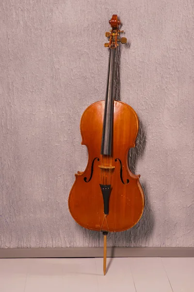 Gamla Misshandlade Cello Stå Nära Grå Texturerat Vägg — Stockfoto