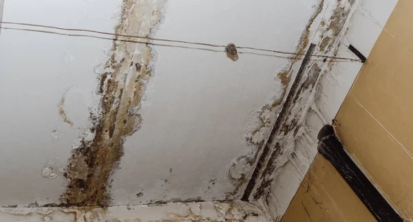 Big wet spots and cracks on the ceiling of the domestic house room after heavy rain and lot of water - Image — Stock Image Big Wet Spots Cracks Ceiling Domestic House Room Heavy Rain Stock Picture