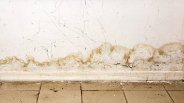 Büyük ıslak lekeleri ve siyah kalıp sonra şiddetli yağmur ve bol bol su iç house oda duvar