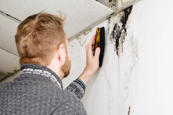 Bearded man removes black mold on the wall after leakage — Stock Image Bearded man removes black mold on the wall after leakage Stock Photo