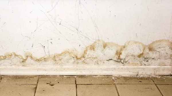 Big wet spots and black mold on the wall of the domestic house room after heavy rain and lot of water — Stock Image Big wet spots and black mold on the wall of the domestic house room after heavy rain and lot of water Royalty Free Stock Photos