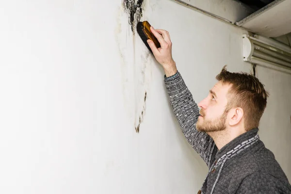 Bearded man removes black mold on the wall after leakage — Stock Image Bearded man removes black mold on the wall after leakage Royalty Free Stock Photos