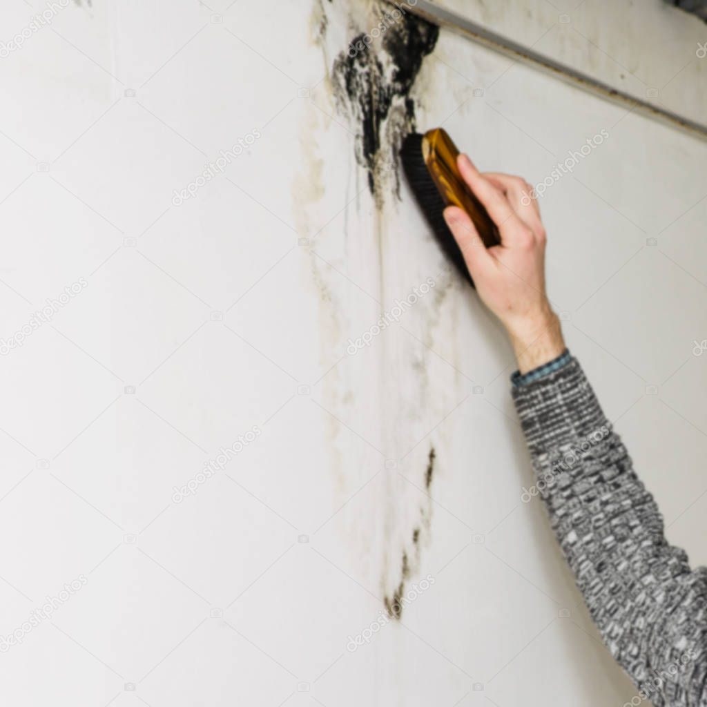 Blurred image of a man's hand removes black mold on the wall after leakage