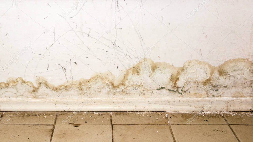 Big wet spots and black mold on the wall of the domestic house room after heavy rain and lot of water